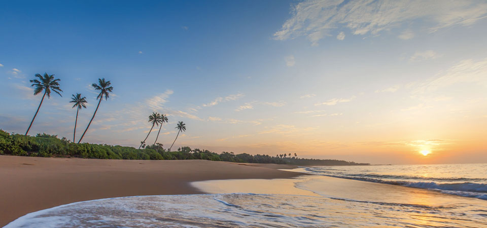 Sen Wellness Sanctuary